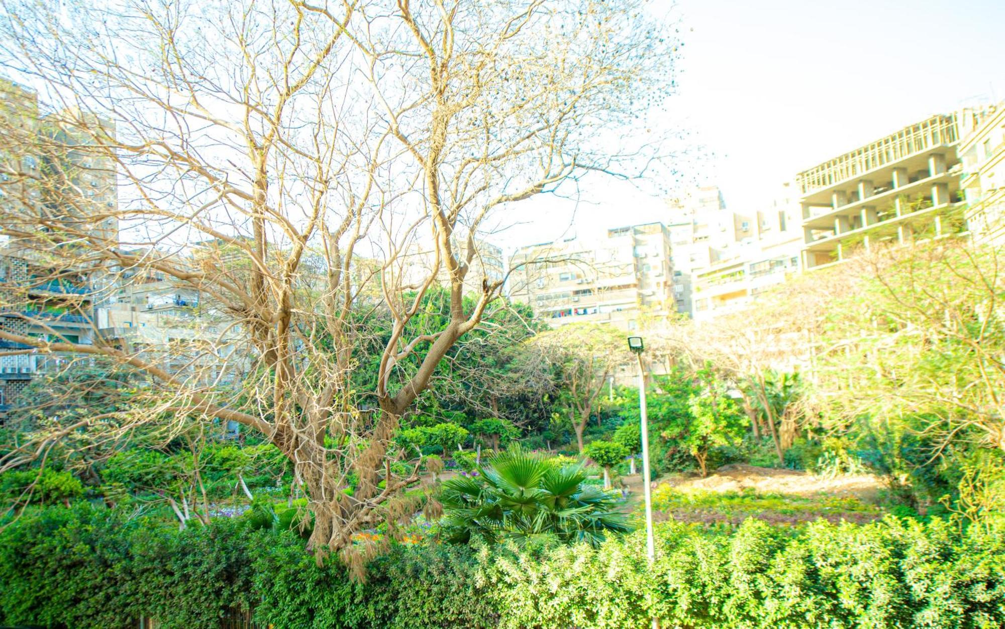Aparthotel Elegance Tower Giza Exterior foto